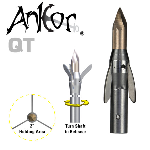 AMS Ankor QT Point
